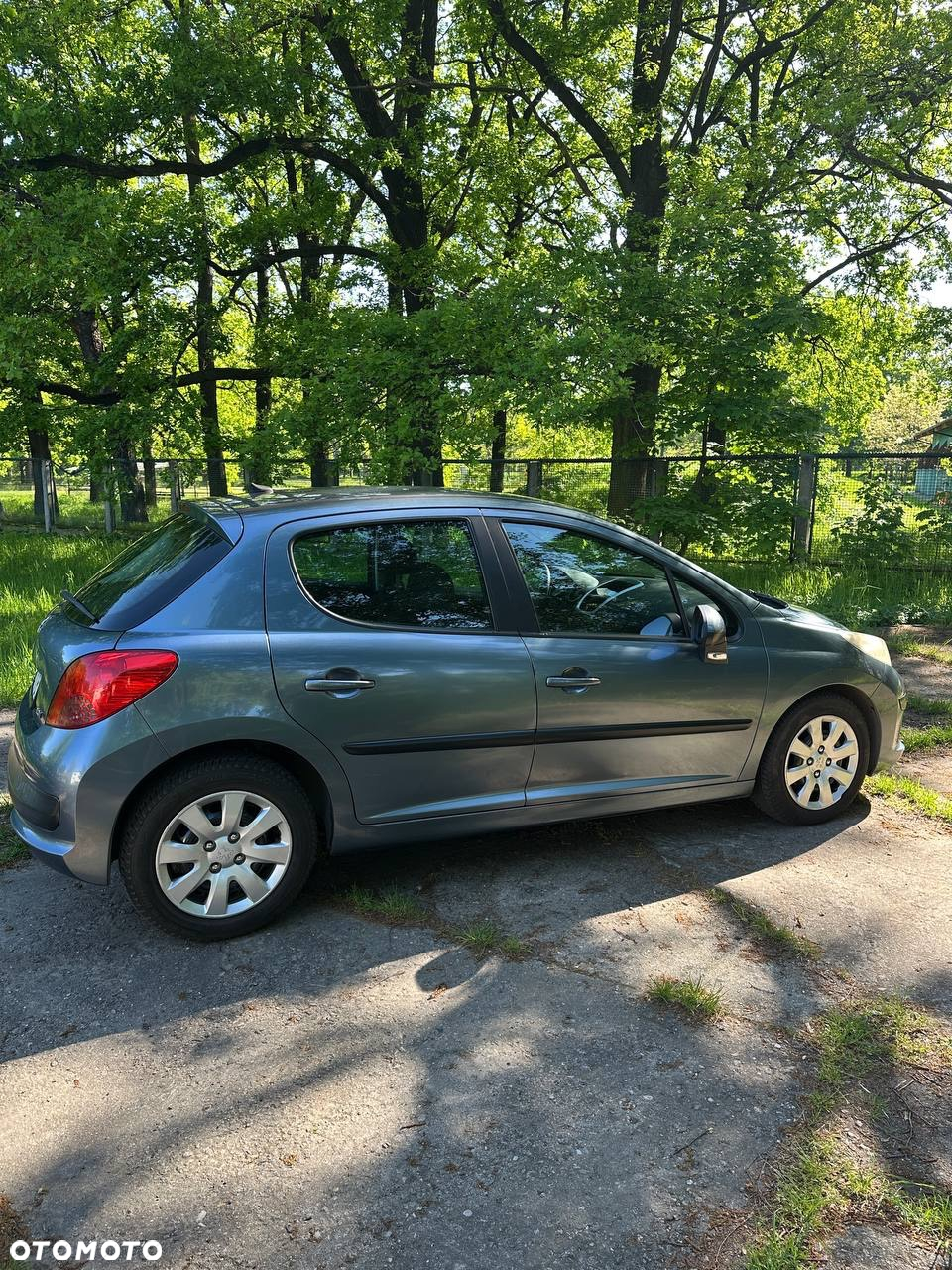 Peugeot 207 - 4
