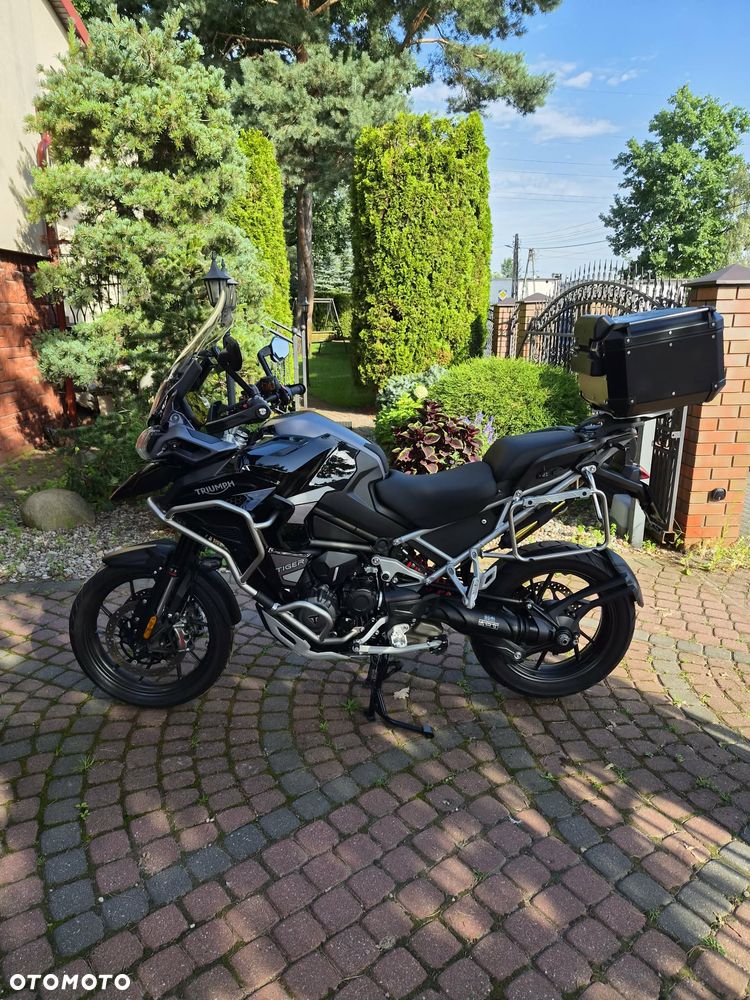 Triumph Tiger - 1