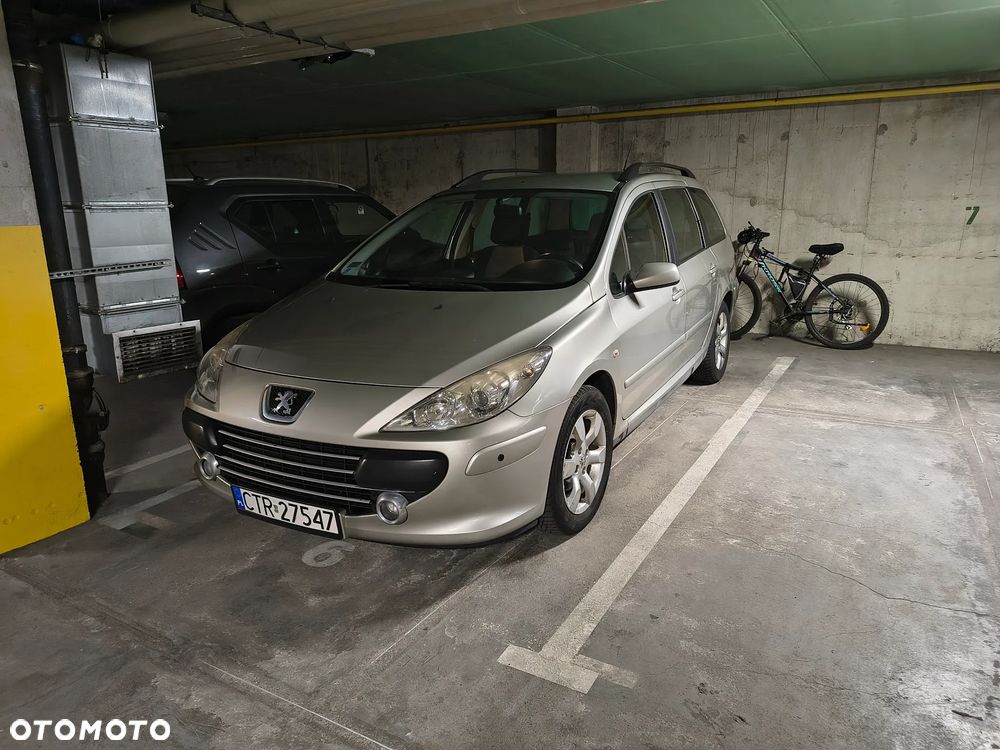 Peugeot 307 - 18