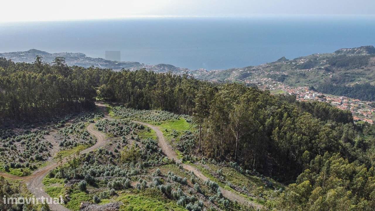 Terreno rústico 25.131 m2 | Jardim da Serra – Câmara de Lobos - Grande imagem: 5/42
