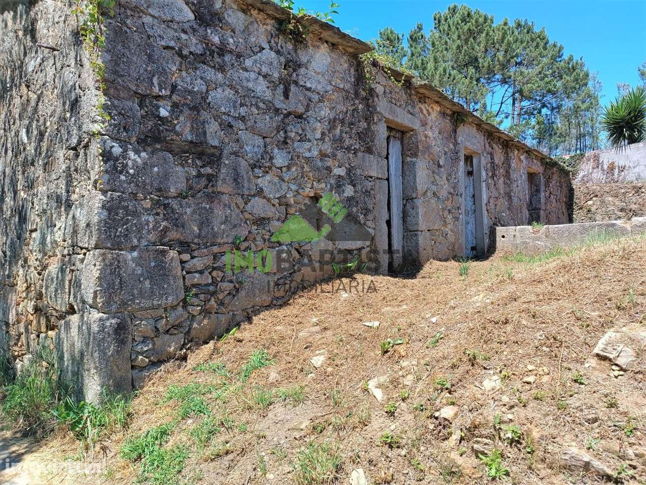 Ruína para restauro em Vila Maior - Grande imagem: 3/10