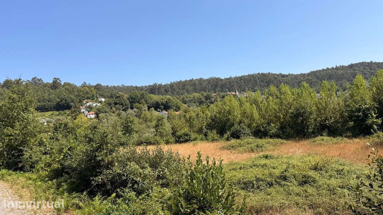 Terreno com 1 hectare em Ribeiros - Grande imagem: 2/4