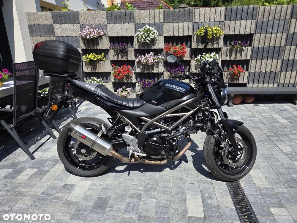 Suzuki SV - 7