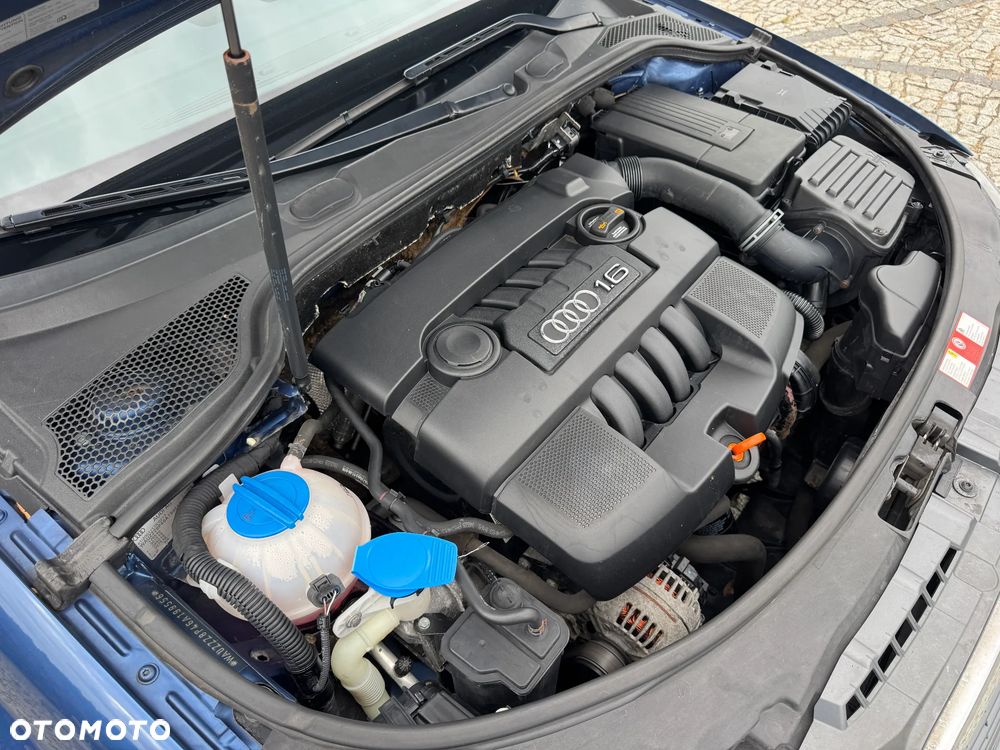 Audi A3 3-drzwiowe 1.6 Ambition - 36