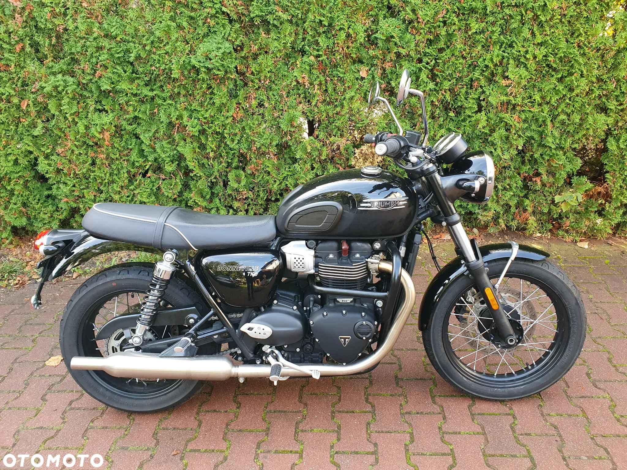 Triumph Bonneville - 2