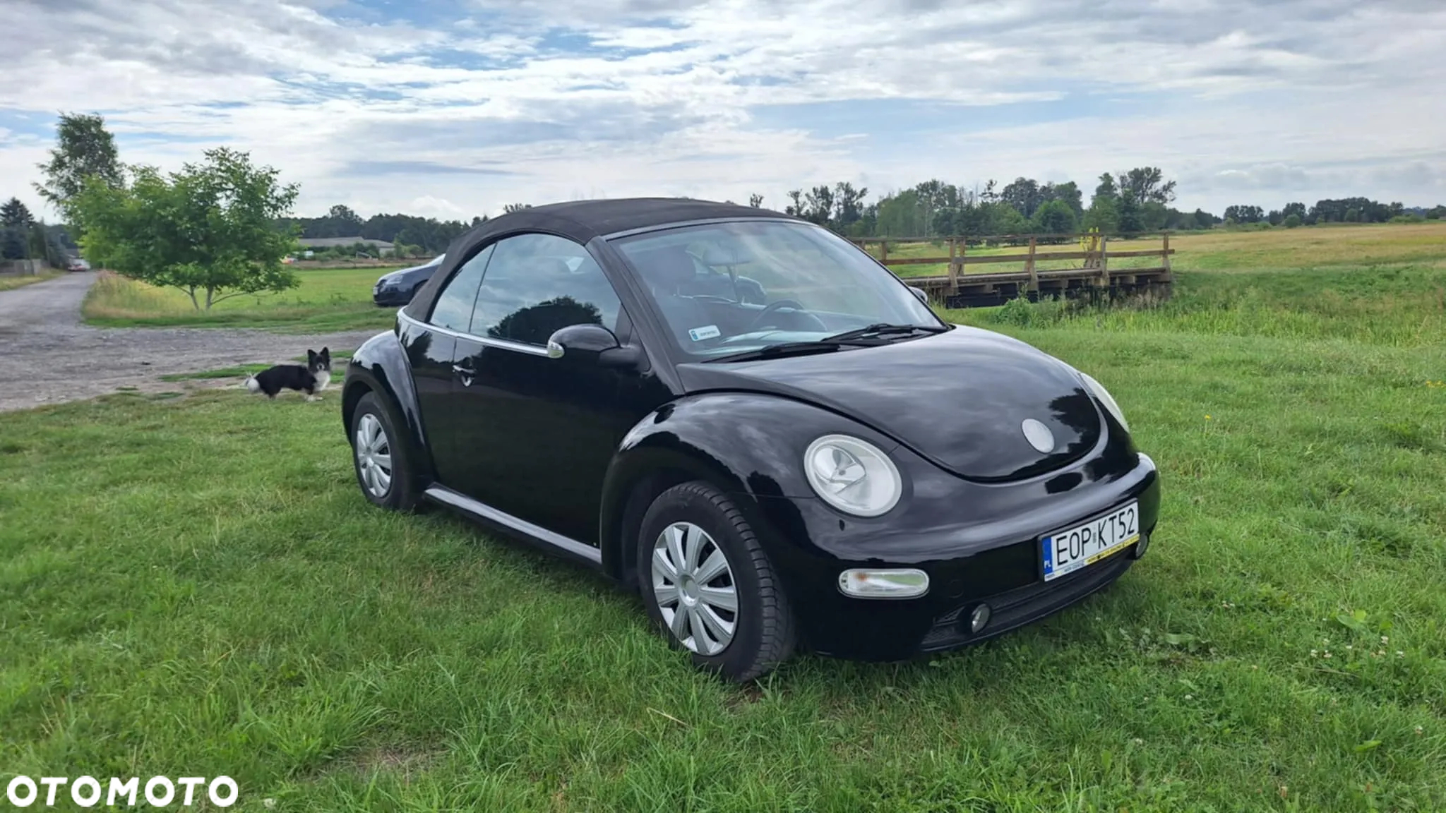 Volkswagen New Beetle 1.9 TDI - 8