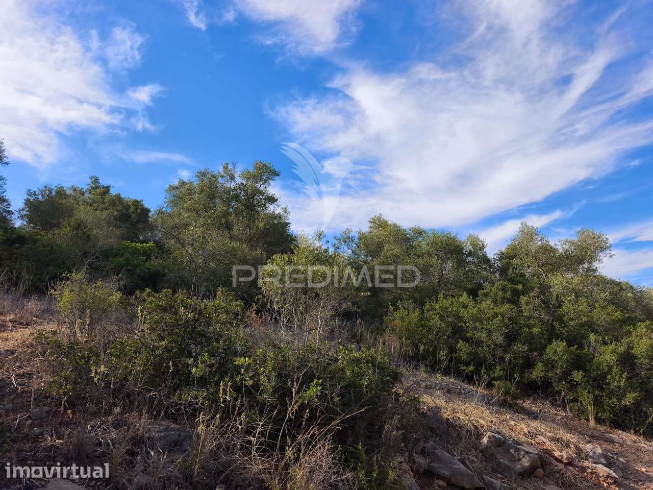 Albufeira-Paderne Matos Cima - Terreno Rustico 23.520m2 - Grande imagem: 4/16