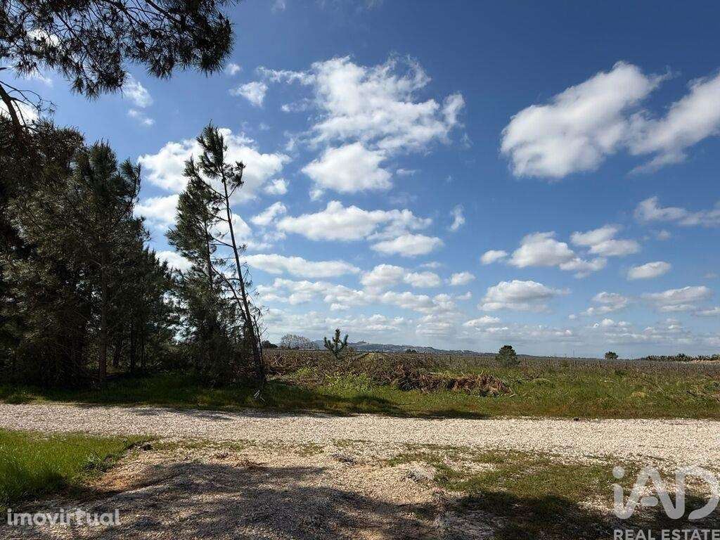 Terreno Agrícola em Palmela - Grande imagem: 3/18
