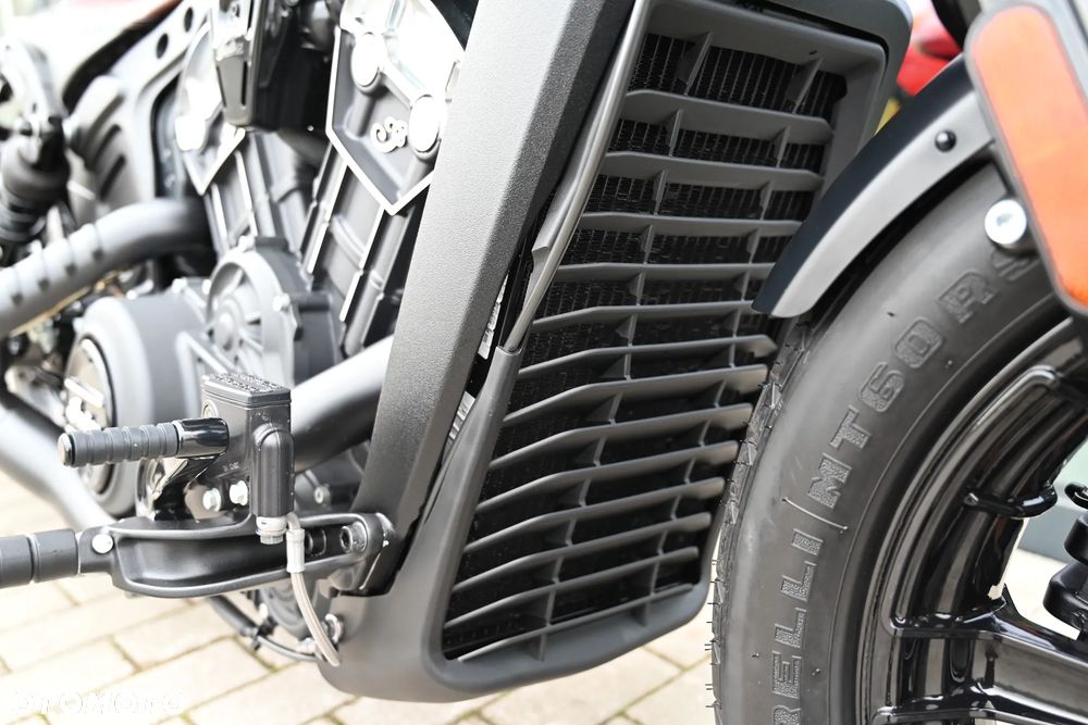 Indian Scout - 19
