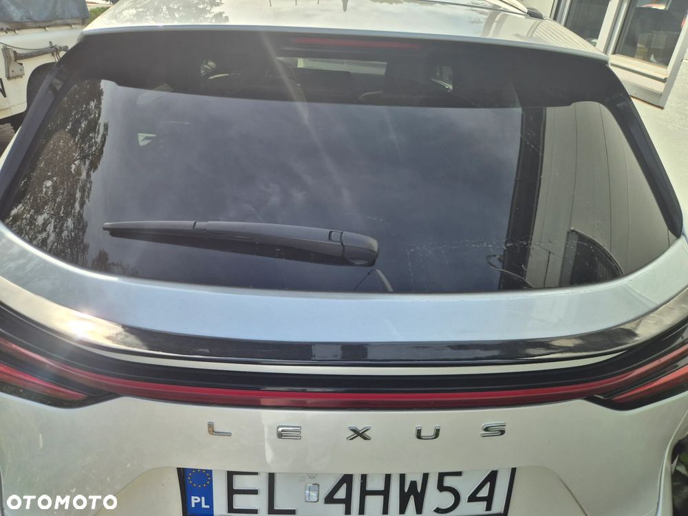 Lexus NX - 10