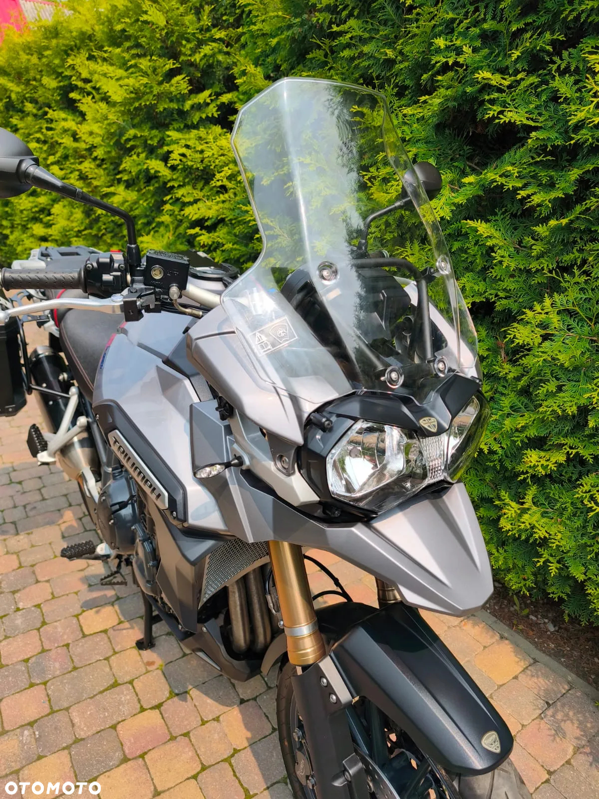 Triumph Tiger - 6