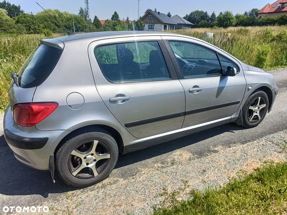 Peugeot 307 - 5
