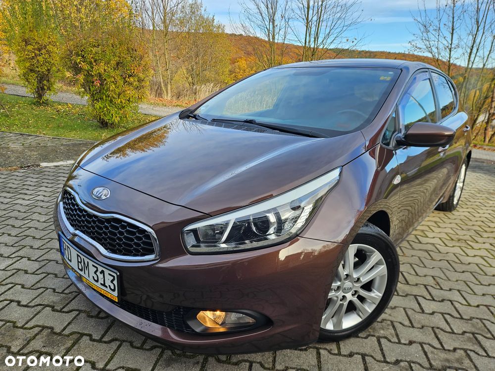Kia Ceed 1.6 GDI Fifa World Cup Edition - 19