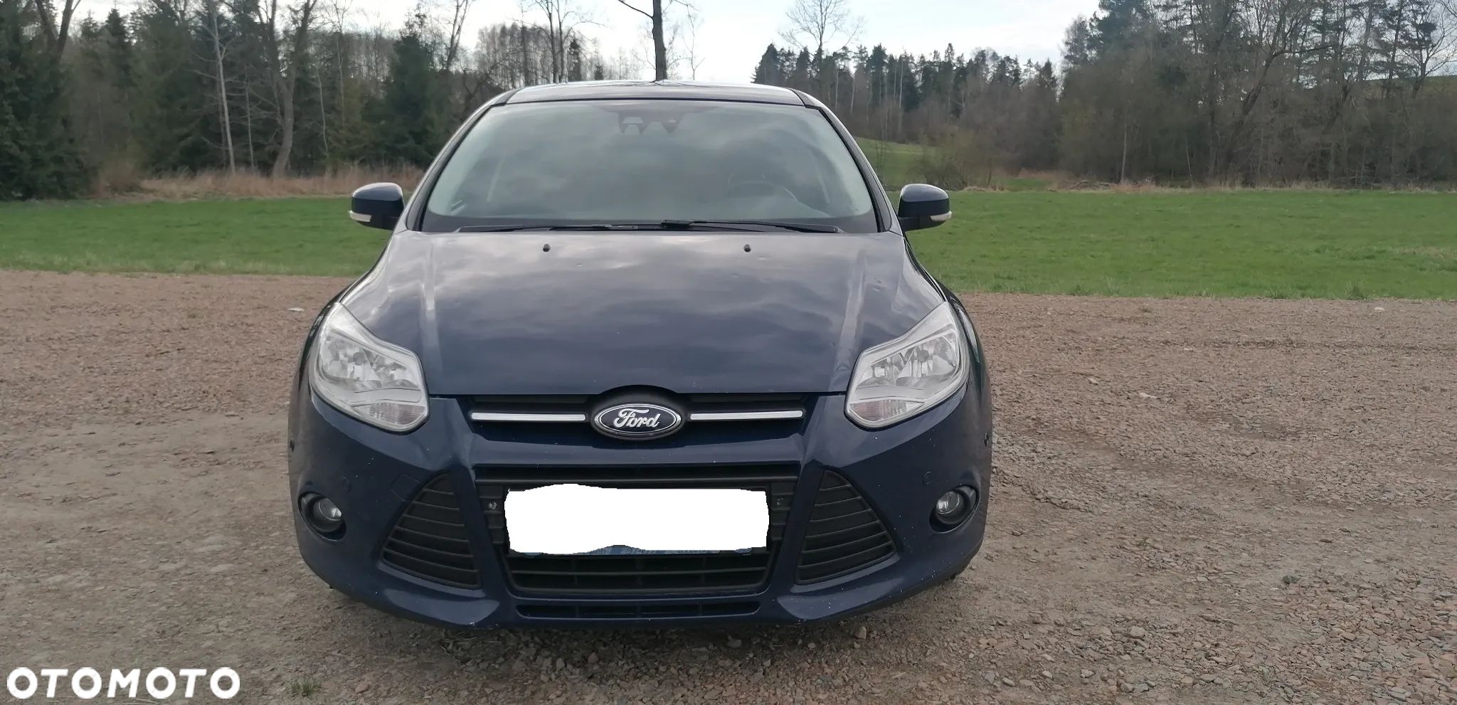 Ford Focus - 1
