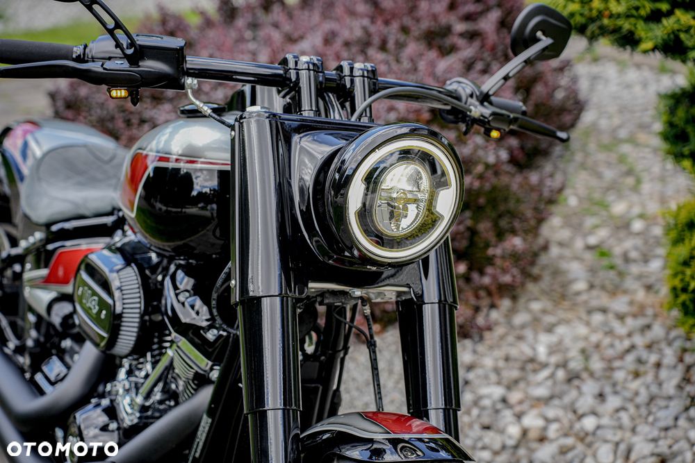 Harley-Davidson Softail - 14