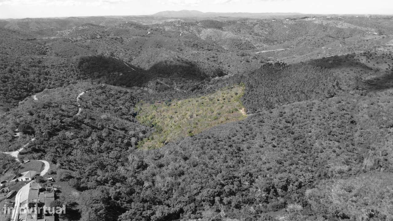 Terreno Rústico com 27885m2 - São Barnabé - Grande imagem: 3/11