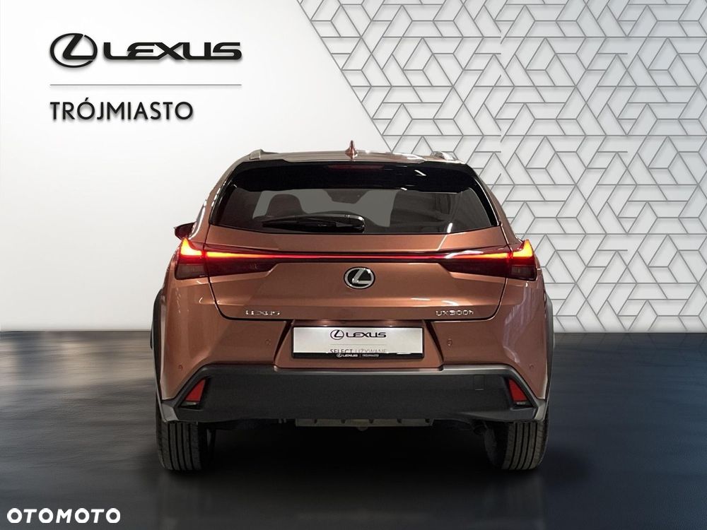 Lexus UX 300h Business - 7
