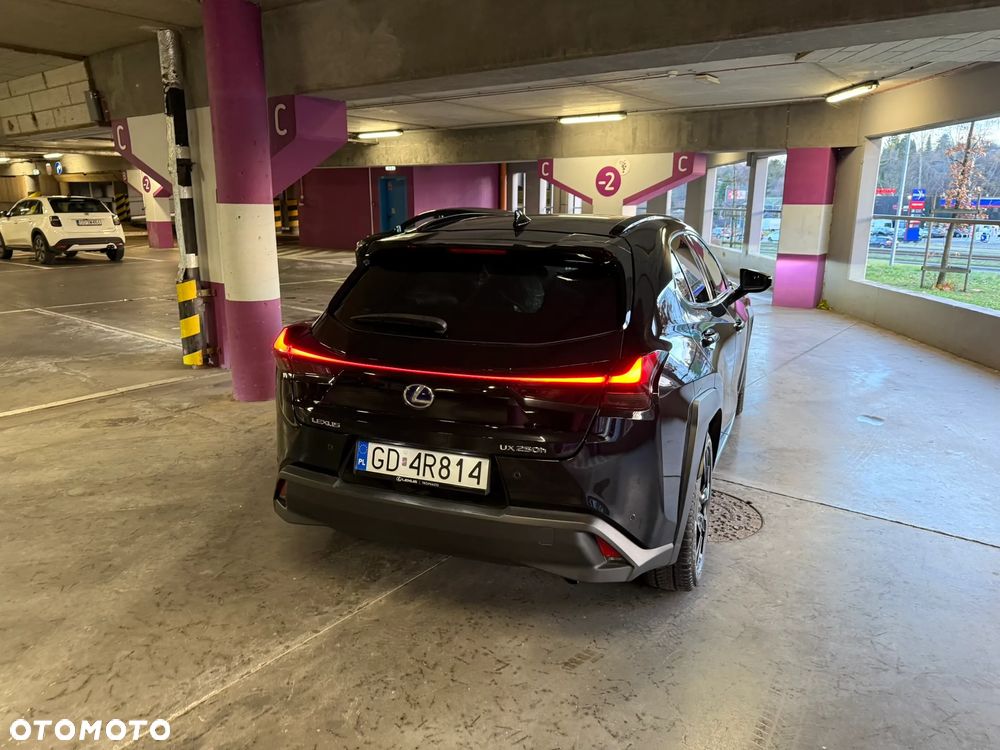Lexus UX 200 GPF F Impression 2WD - 9