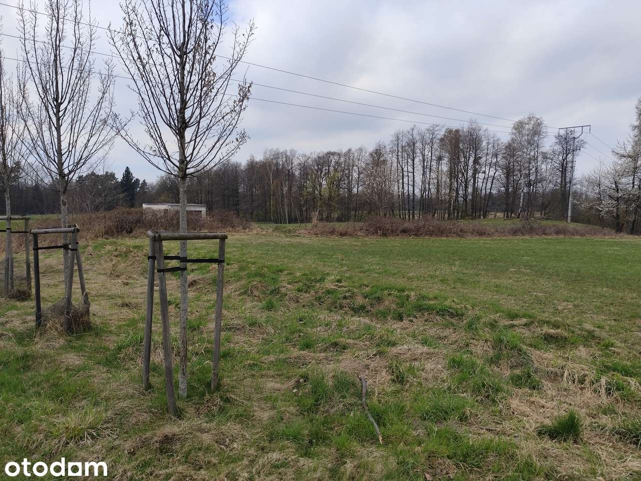 Działki z wydanymi warunkami zabudowy WZ - Pełny obrazek: 4/6