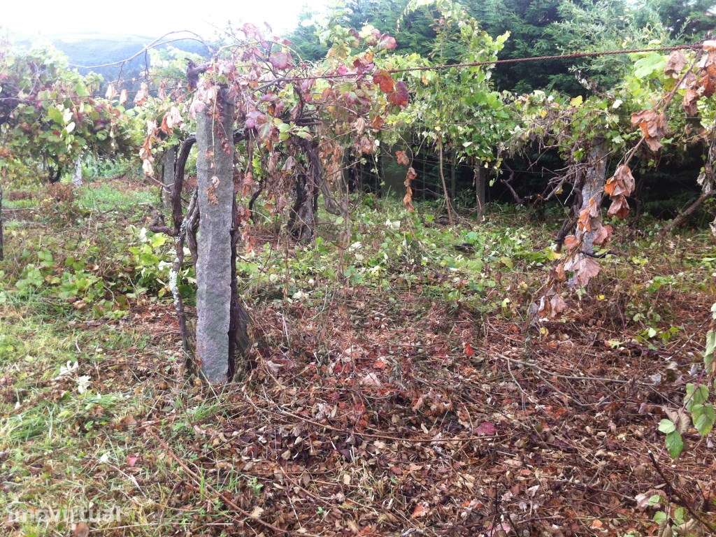 Terreno para venda em Azevedo. - Grande imagem: 3/7