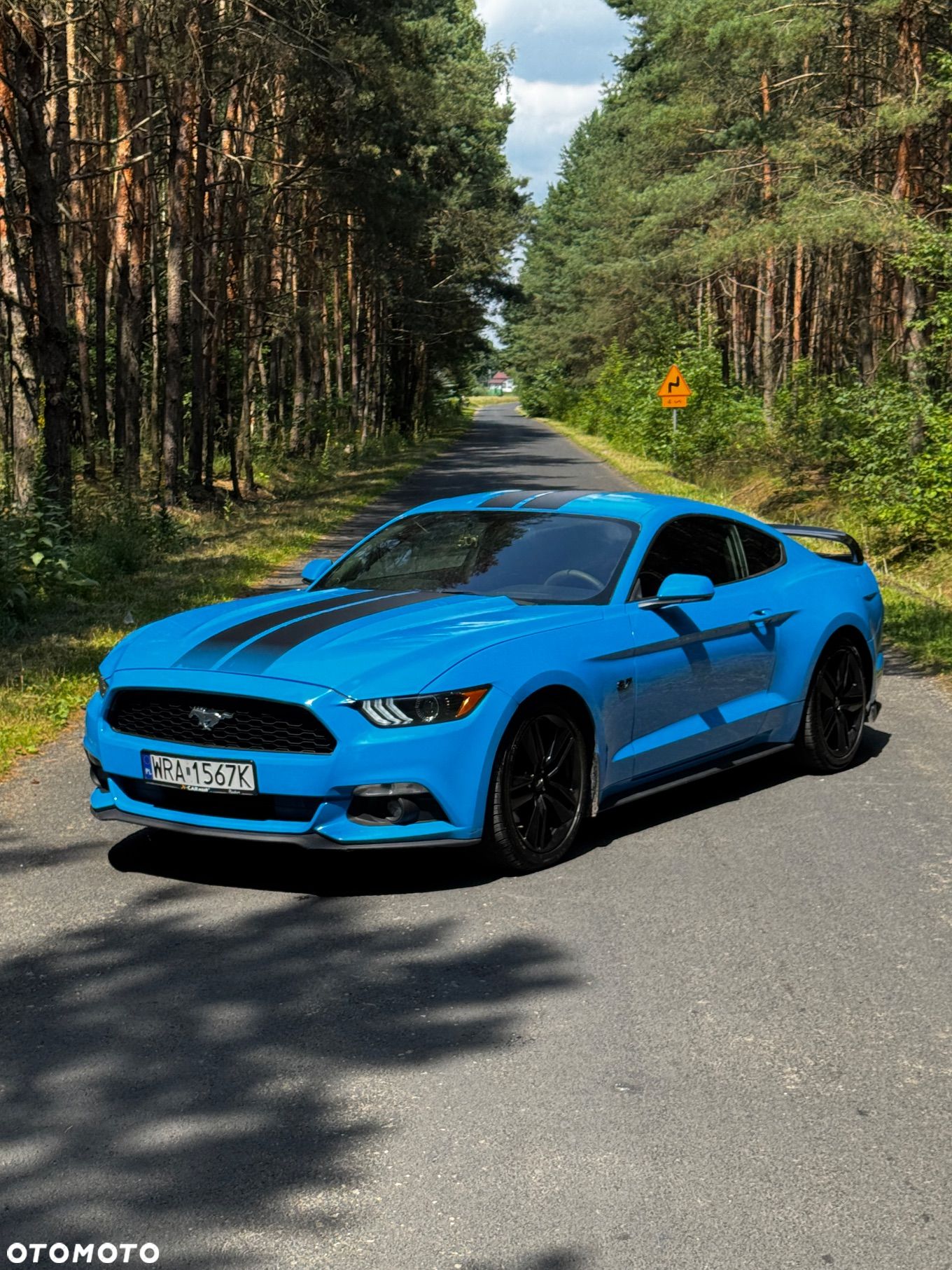 Ford Mustang - 1