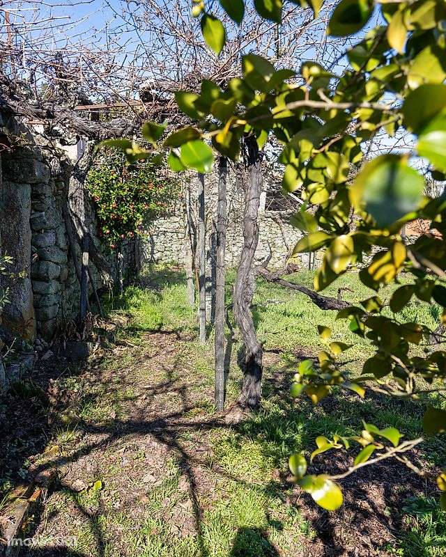 Moradia T4 para venda - Grande imagem: 3/23