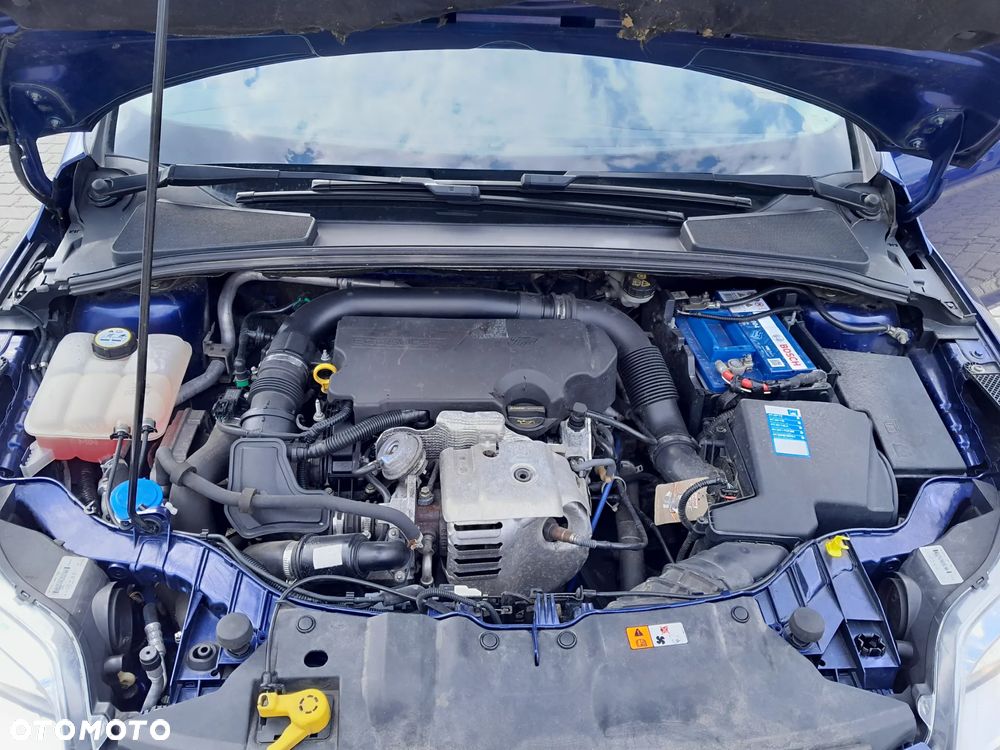 Ford Focus 1.0 EcoBoost Start-Stopp-System Champions Edition - 30