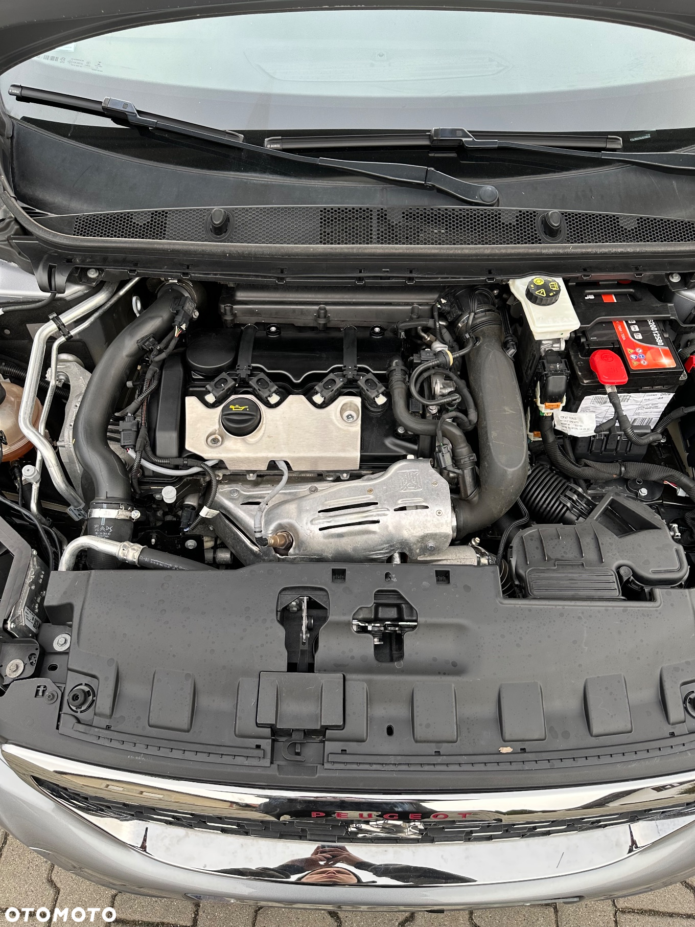 Peugeot 308 1.6 PureTech GPF GT S&S EAT8 - 12
