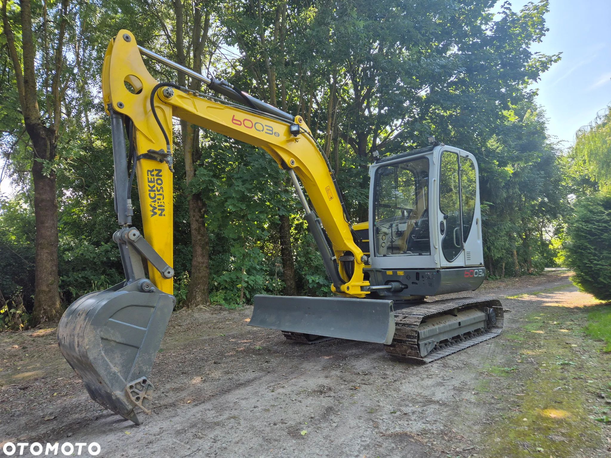 Wacker Neuson 6003 - 1