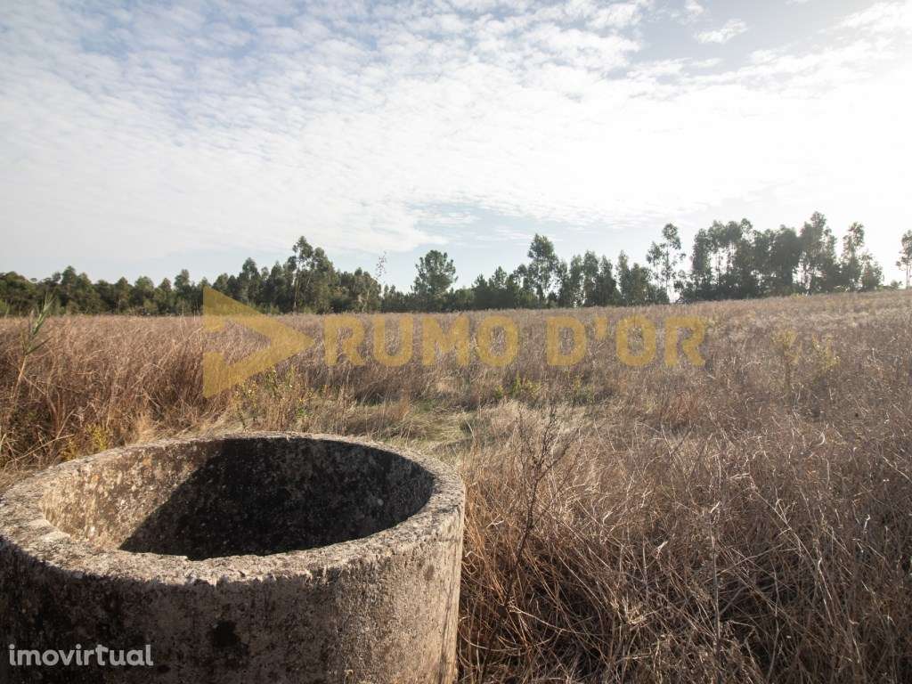 Terreno Misto - Surraipas, Freguesia de Olhalvo (Alenquer) - Grande imagem: 2/9