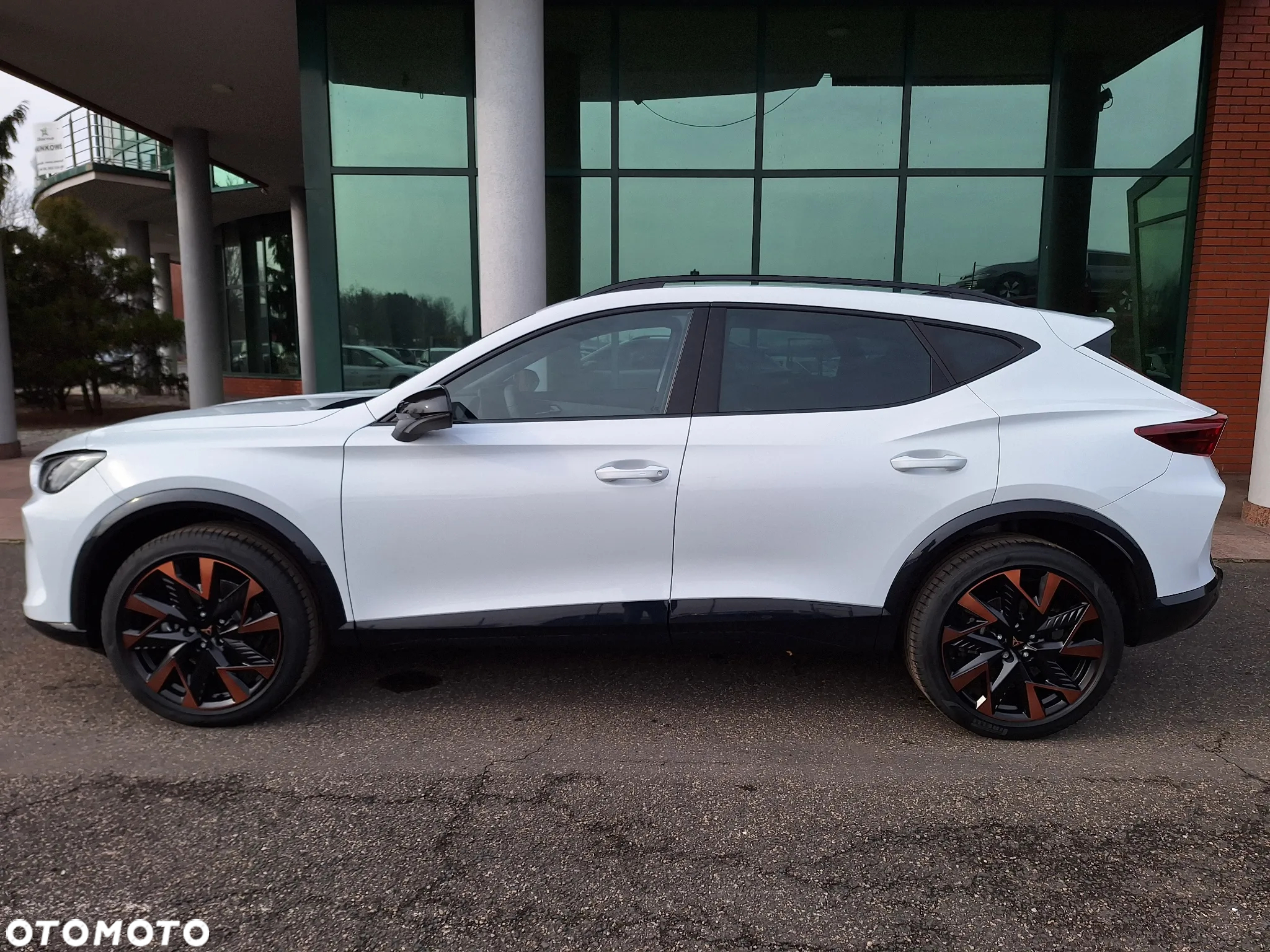 Cupra Formentor 2.0 TSI 4Drive DSG - 5