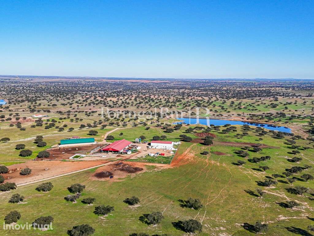Herdade com 844 hectares - Ganadeira para pastagem e Engorda de Ani... - Grande imagem: 2/49