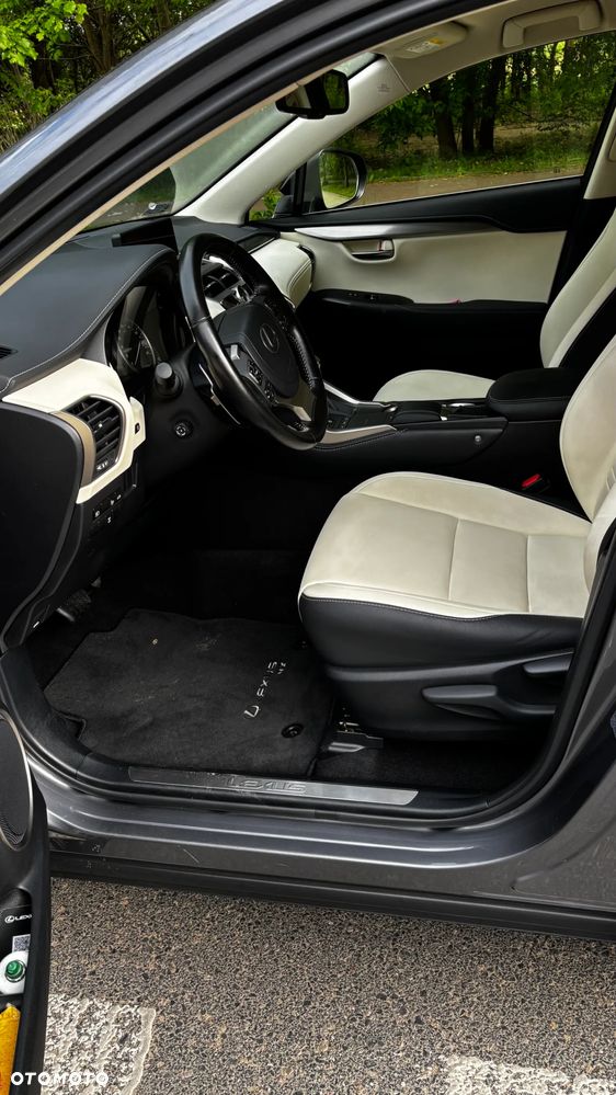 Lexus NX 300 Prestige AWD - 9