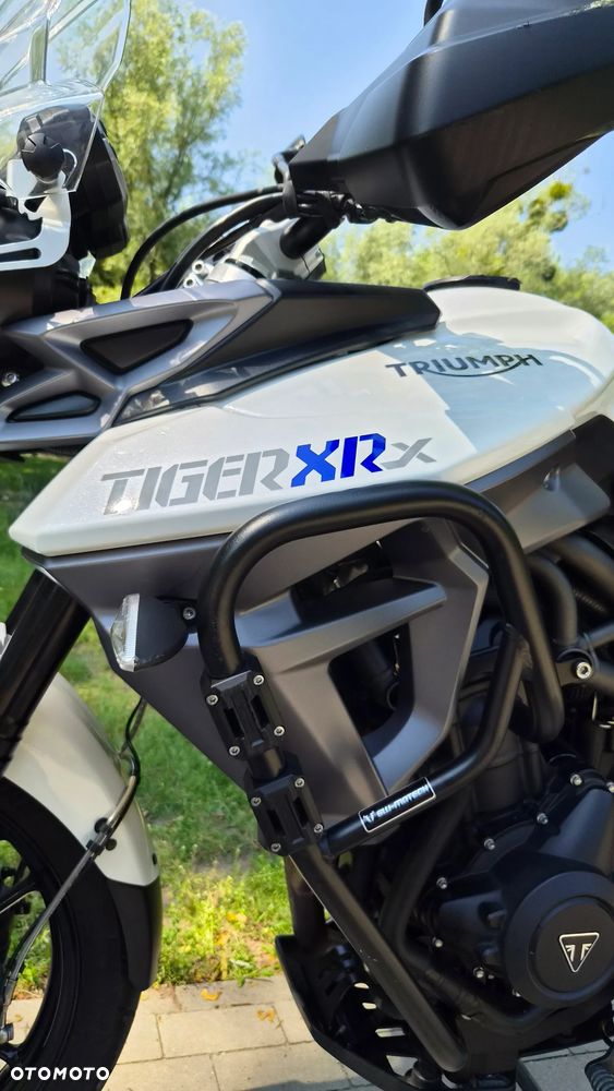 Triumph Tiger - 13