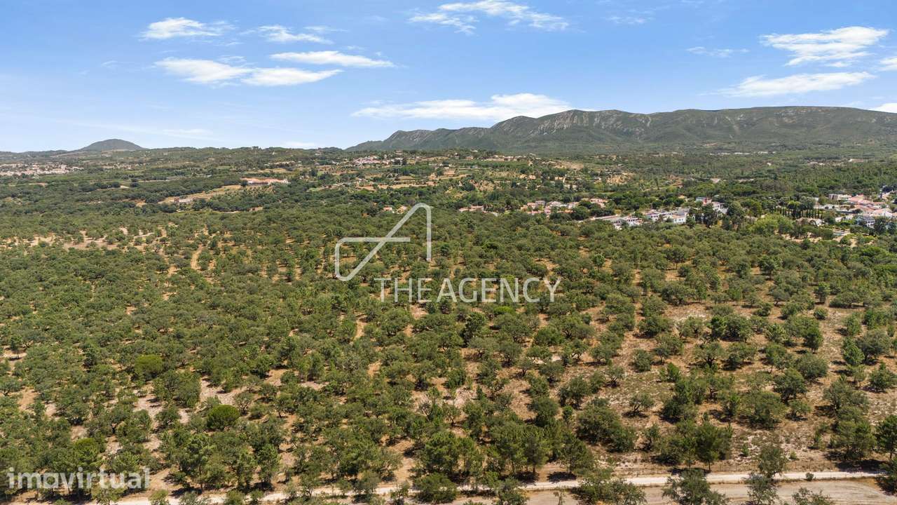 11,3 Hectares de Montado de Sobro | PIP Submetido | Moradia de 455 m² - Grande imagem: 2/5