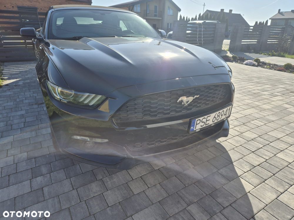 Ford Mustang 3.7 V6 - 11