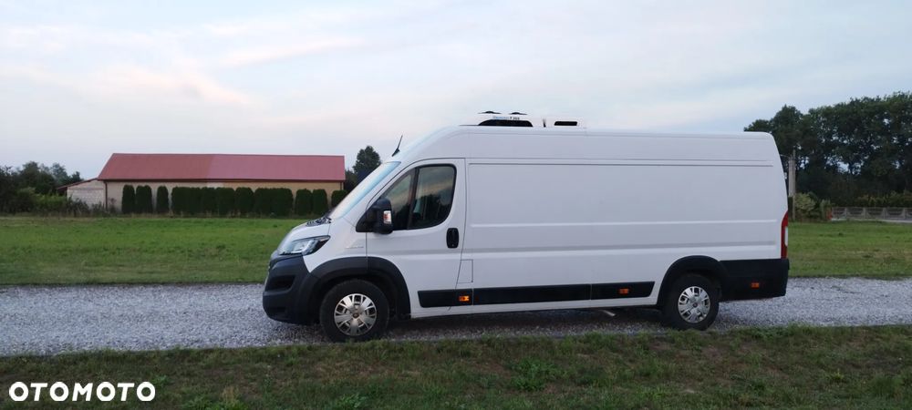 Fiat Ducato L4H2 chłodnia + 230V - 12