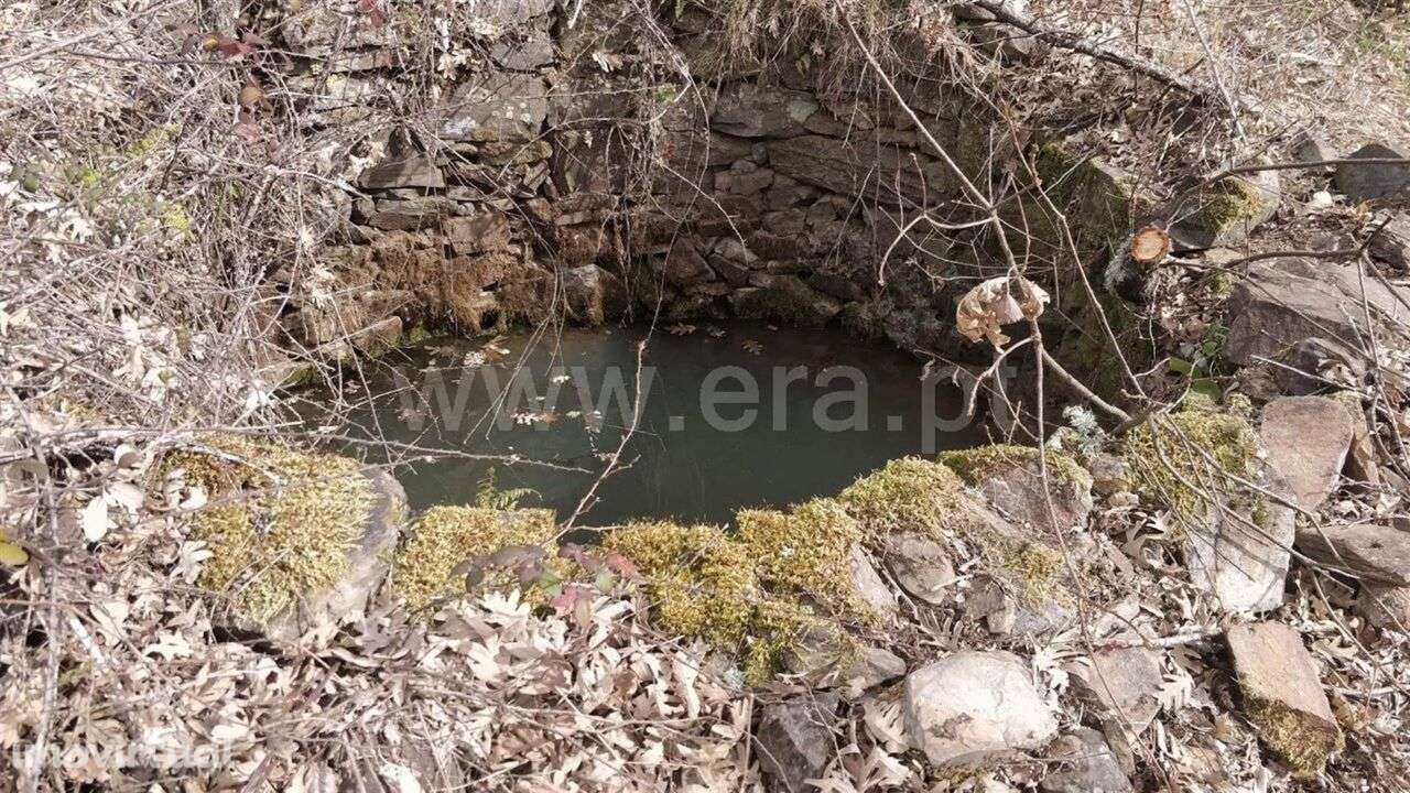Terreno Rústico / Fundão, Vales Pêro Viseu - Grande imagem: 2/7