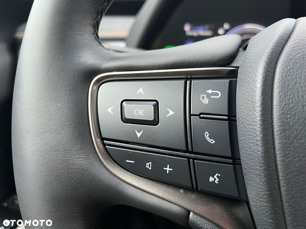 Lexus UX 250h GPF F Sport Design 2WD - 26