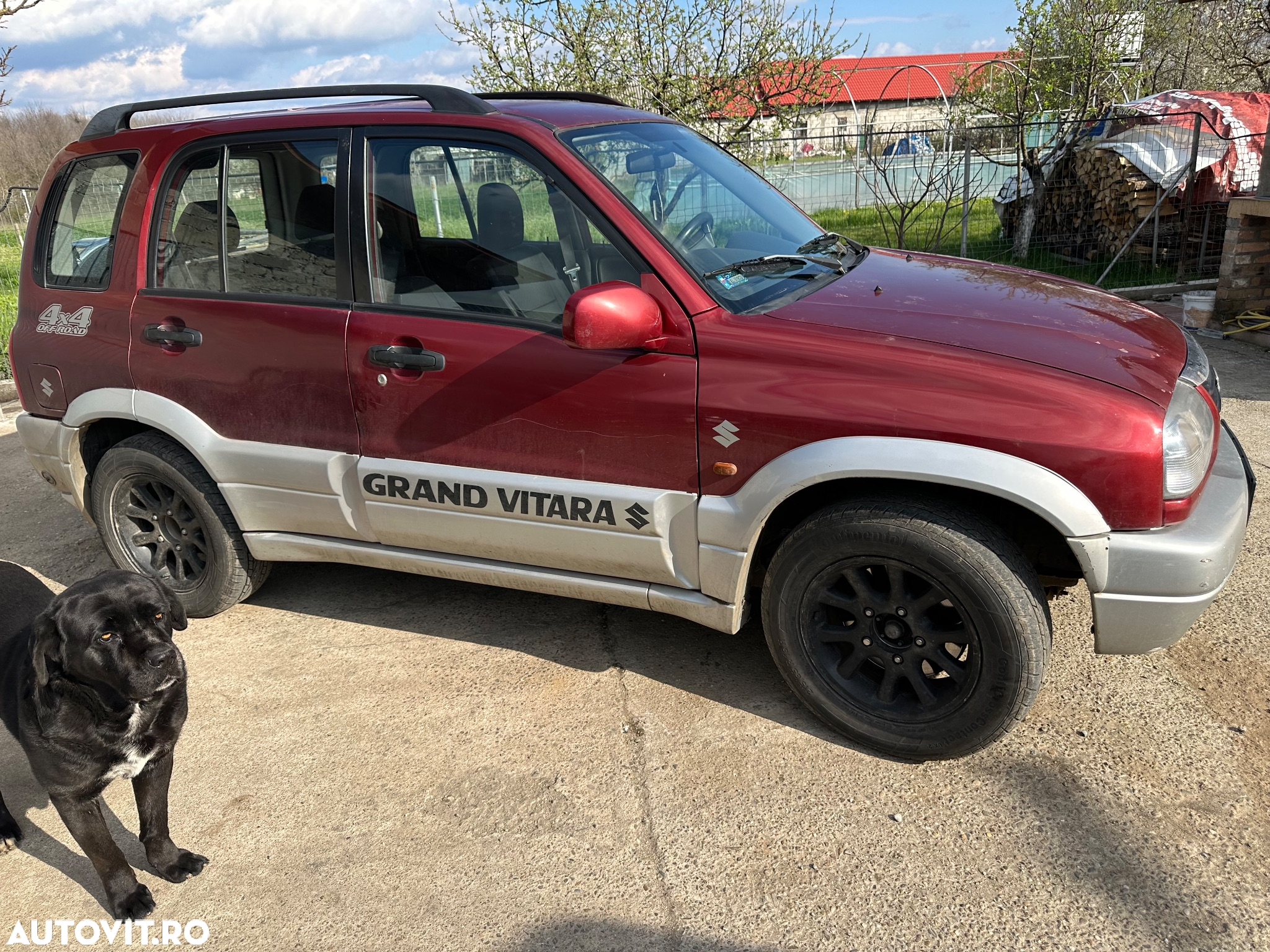 Suzuki Vitara - 6