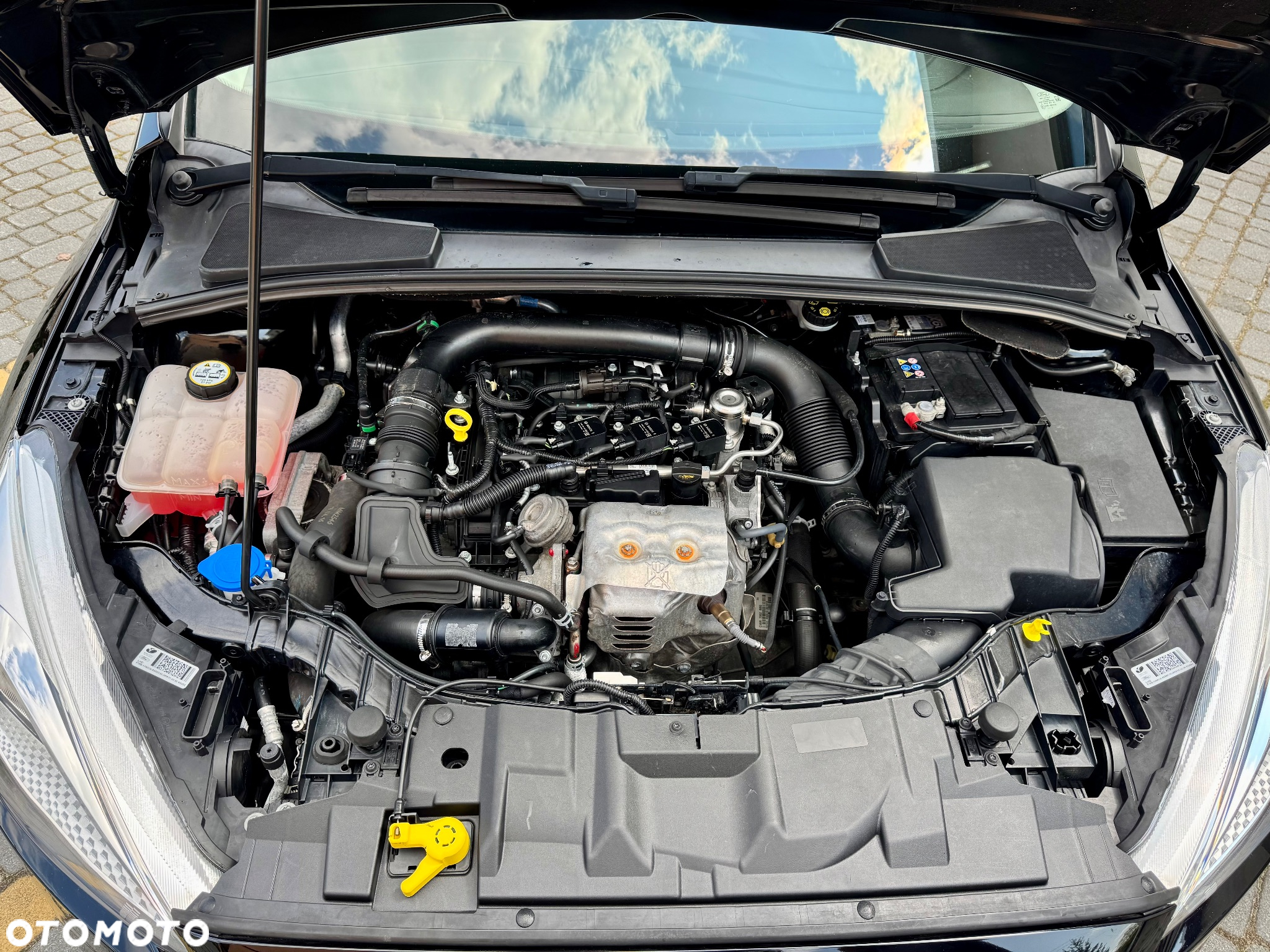 Ford Focus 1.0 EcoBoost Trend ASS - 15