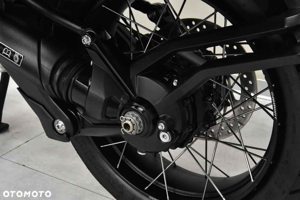 Triumph Tiger - 38