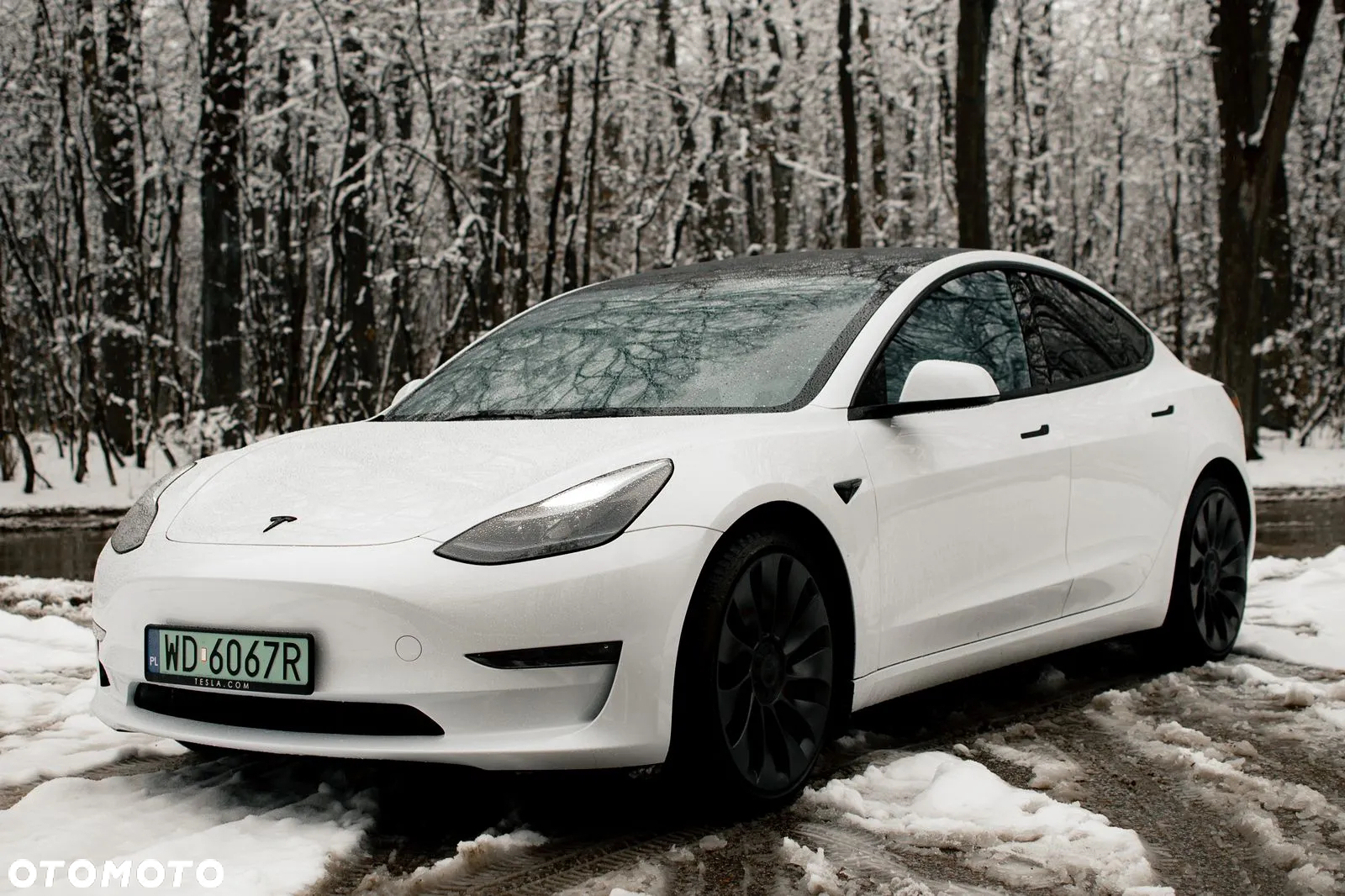 Tesla Model 3 Performance AWD - 9