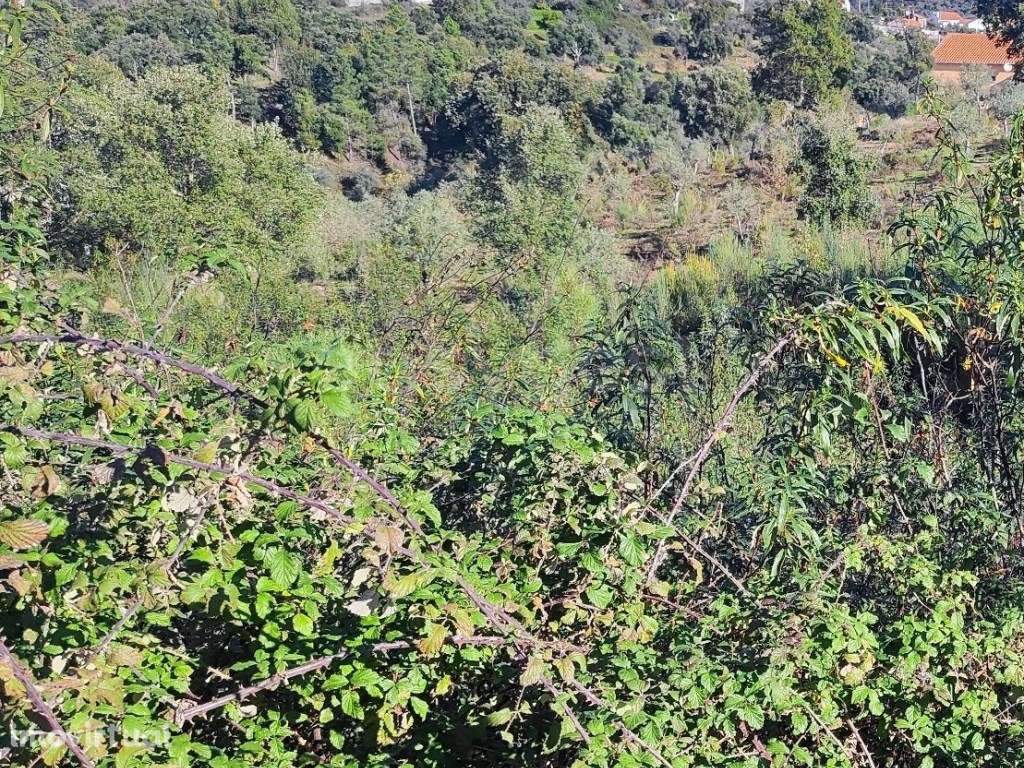 Terreno urbano, localizado na vila de São Vicente da beira que poss... - Grande imagem: 2/12