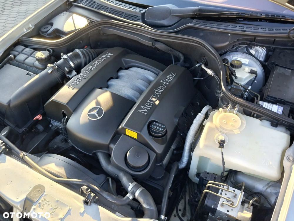 Mercedes-Benz CLK - 31