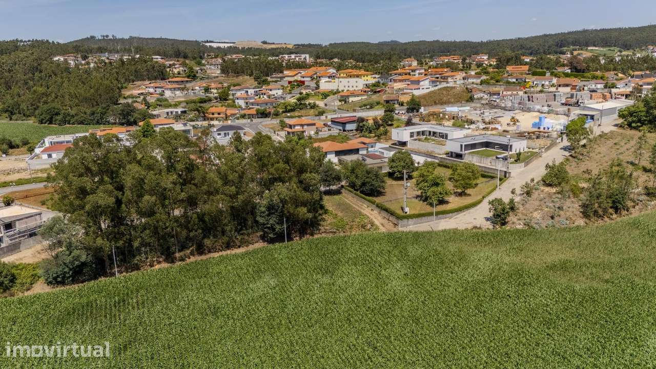Terreno Fradelos (Sapugal) - Grande imagem: 5/11