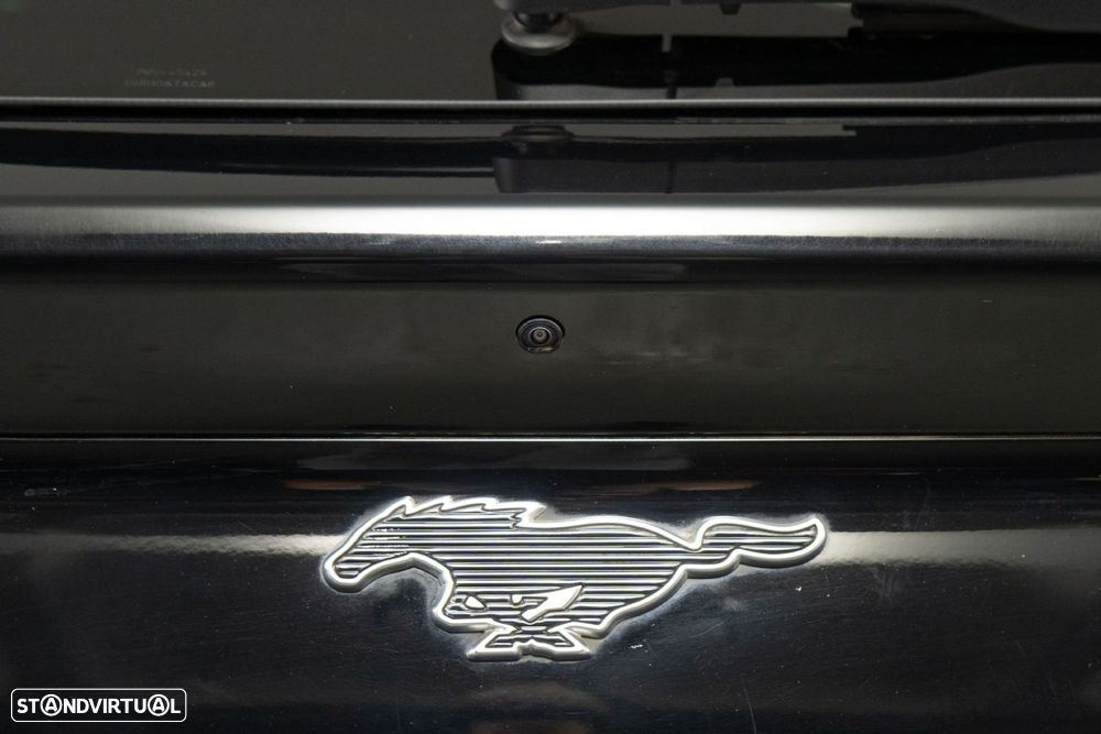 Ford Mustang Mach-E Standard - 19