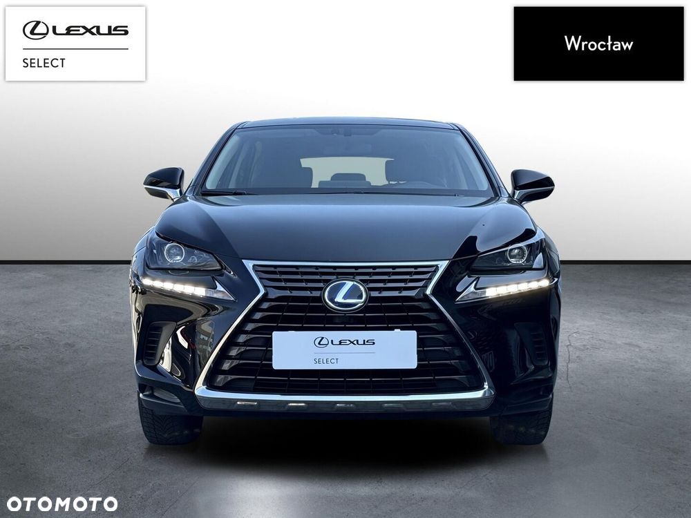Lexus NX 300h Elegance 2WD - 6