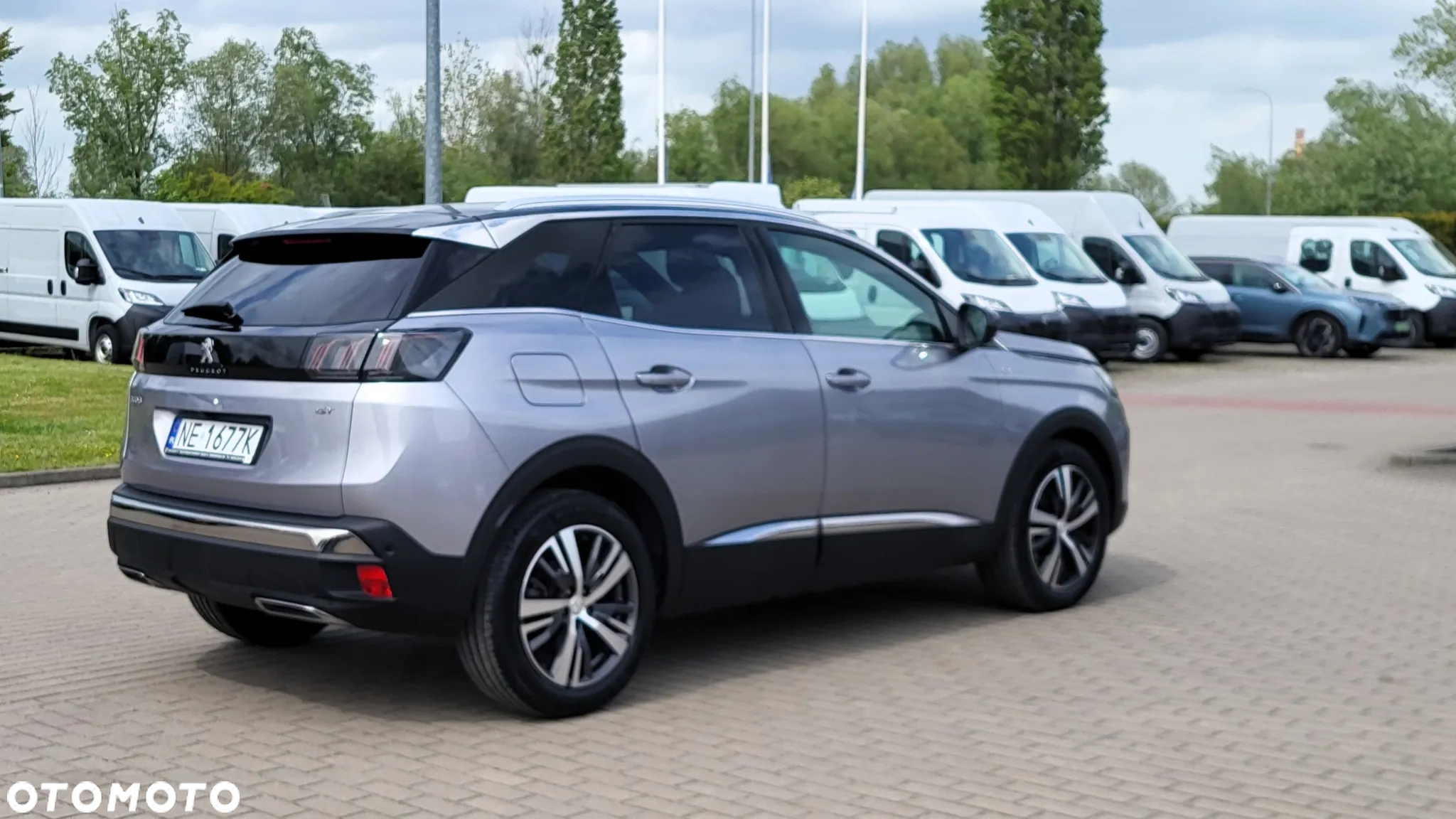 Peugeot 3008 1.5 BlueHDi GT S&S EAT8 - 6