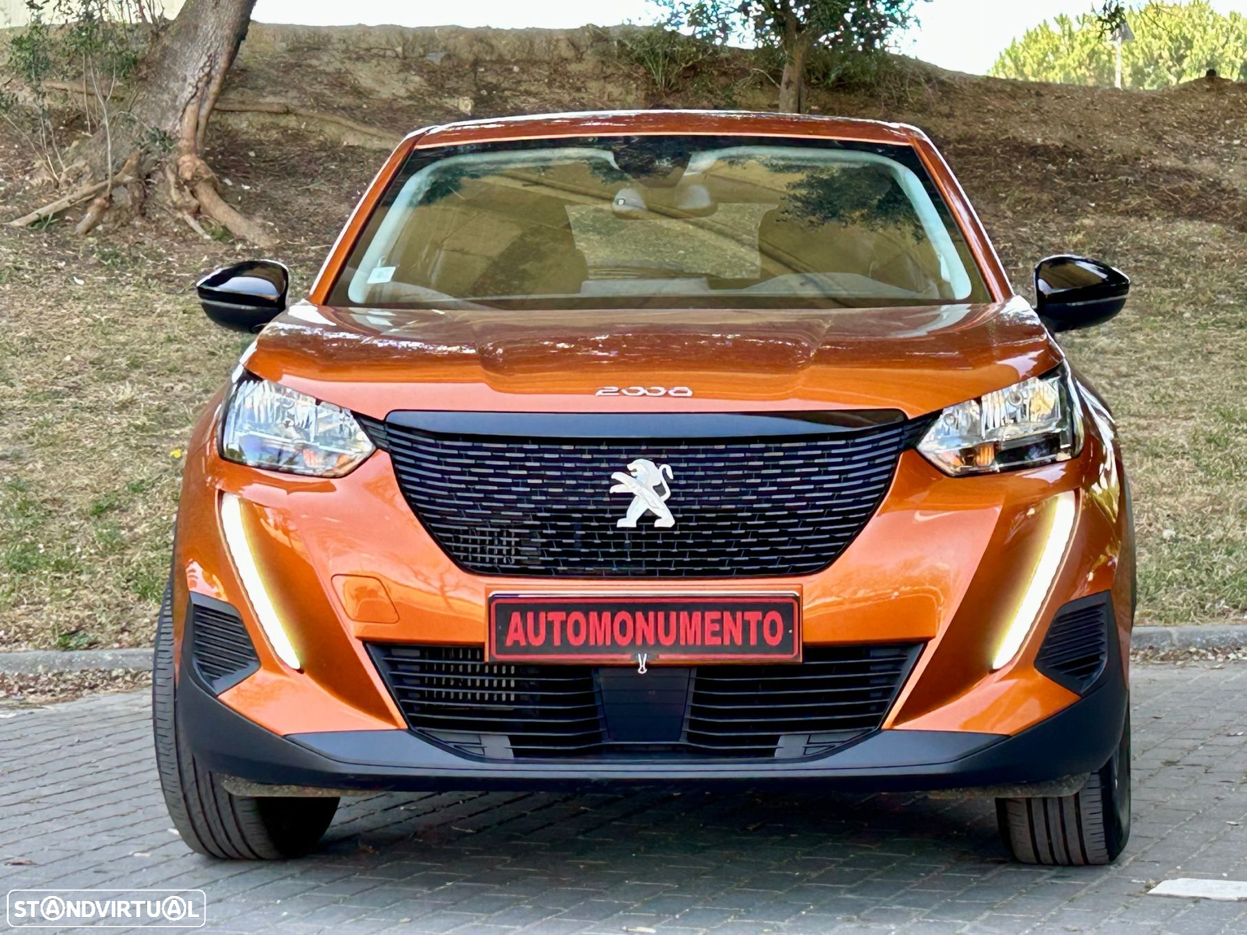 Peugeot 2008 - 10